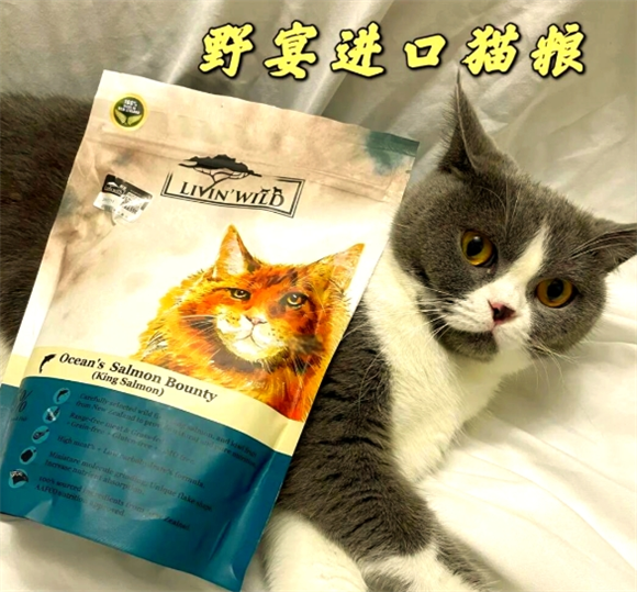 野宴猫粮安全吗 野宴猫粮安全吗