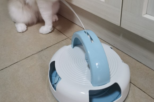 伊丽品牌背景及产品特色