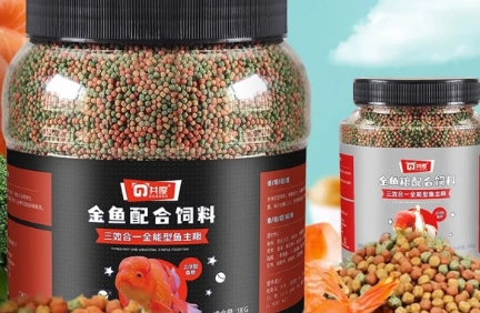 共度金鱼饲料多久喂一次