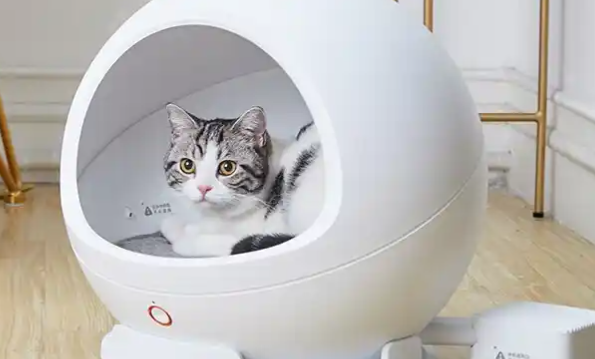 萌尾宠物用品“萌爪医生”APP上线，护航宠物健康