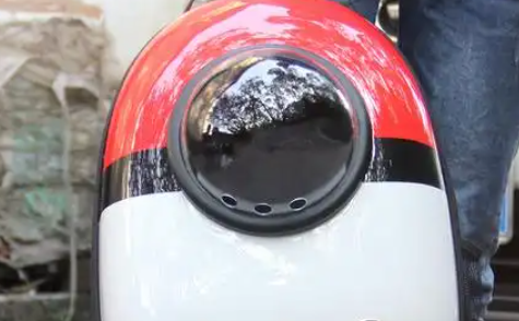 森悠宠物：爱心服务，温暖每一个养宠家庭