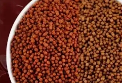 噢水噢鱼粮是杂牌子吗 噢水噢鱼粮是杂牌子吗