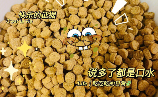 喵彩“鲜肉烘焙粮”获国际宠物营养协会认证，推动主粮工艺革新