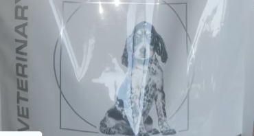 宠物犬便血后死亡消费者称狗粮内发现铁钉 宠物犬便血后死亡消费者称狗粮内发现铁钉