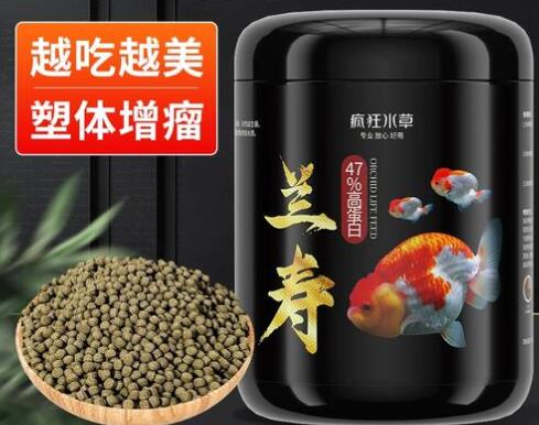 疯狂水草兰寿金鱼饲料配方是什么
