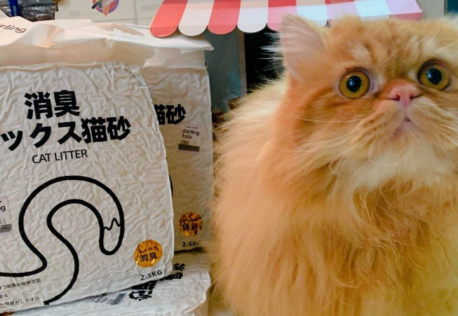 养猫好物推荐 | DARLING TAIL嗒朵六合一猫砂