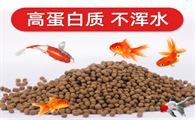 宠以沫金鱼饲料：美味与健康的完美融合