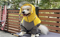 CHU XING JIA宠物雨衣好不好