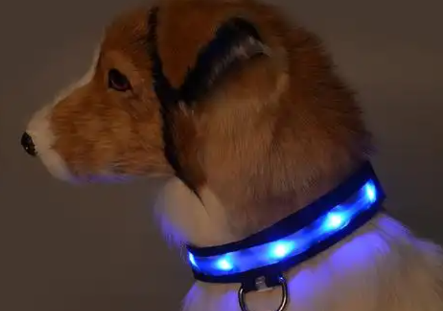 楚克奇发光项圈对狗狗有影响吗