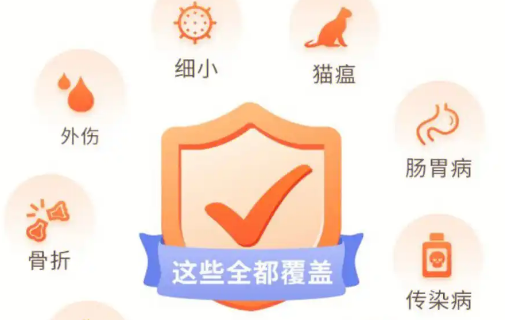 宠物经济持续升温，“毛孩子”的保险要买吗？