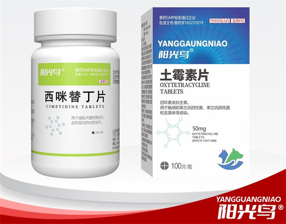 宠物呕吐不止？阳光鸟肠胃守护神器值得试试