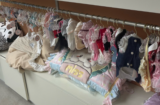 宠小曼：以专业贴心服务赢得青睐