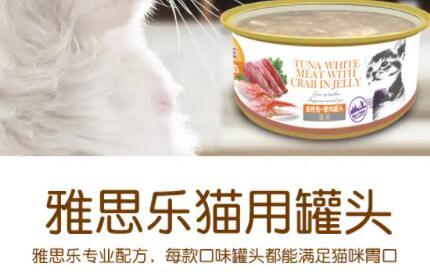 雅思乐属于什么档次 雅思乐属于什么档次