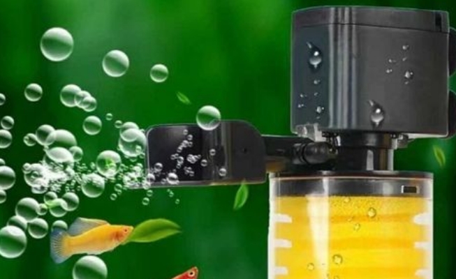 松宝鱼缸过滤器不出水怎么办 松宝鱼缸过滤器不出水怎么办