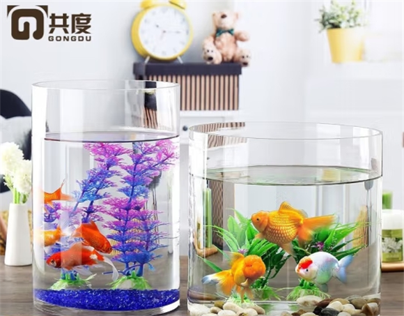 共度创意桌面鱼缸 生态圆形玻璃迷你小型造景