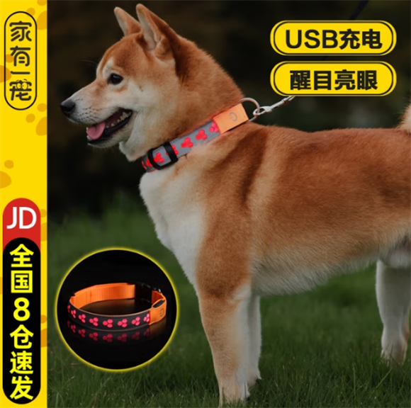 家有一宠狗狗项圈戴多紧 家有一宠狗狗项圈戴多紧