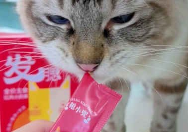 粮小兜猫条是杂牌子吗 粮小兜猫条是杂牌子吗