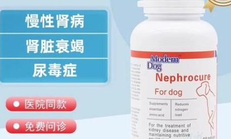 摩登狗肾透片怎么辨别真假