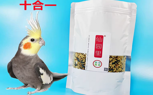 仙园里