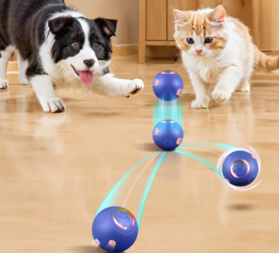 猫橘狗宠物玩具，启宠开启宠物欢乐时光