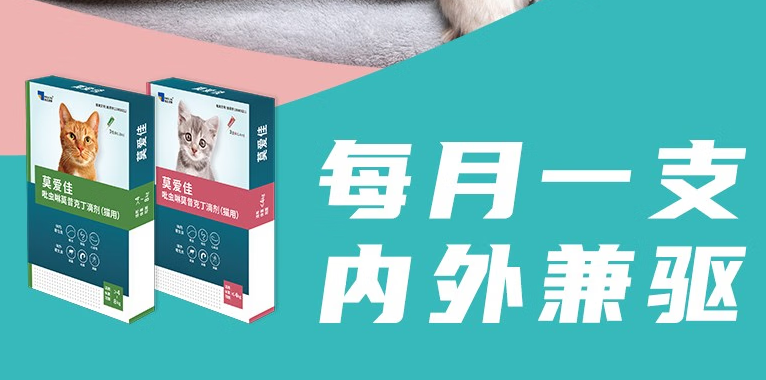 莫爱佳和爱沃克哪一个好