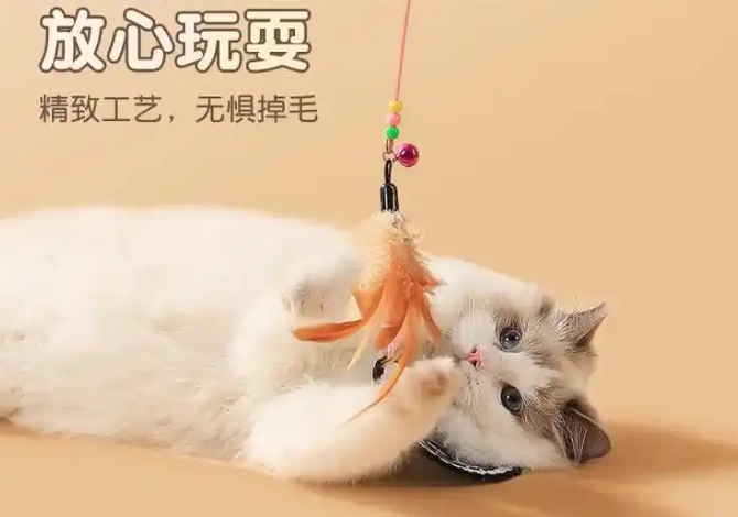 宠六一逗猫棒会玩腻吗