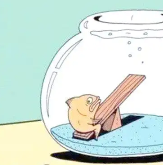 瑞士宠物法规:金鱼需伴侣,动物权利新高度 瑞士宠物法规:金鱼需伴侣,动物权利新高度