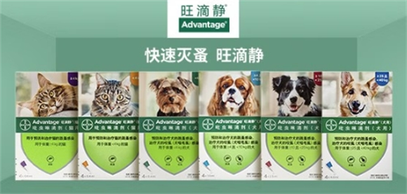 选择可立奥，为宠物健康驱虫