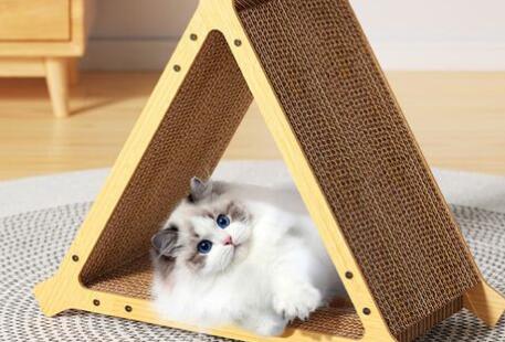 锋上猫抓板能用多久 锋上猫抓板能用多久