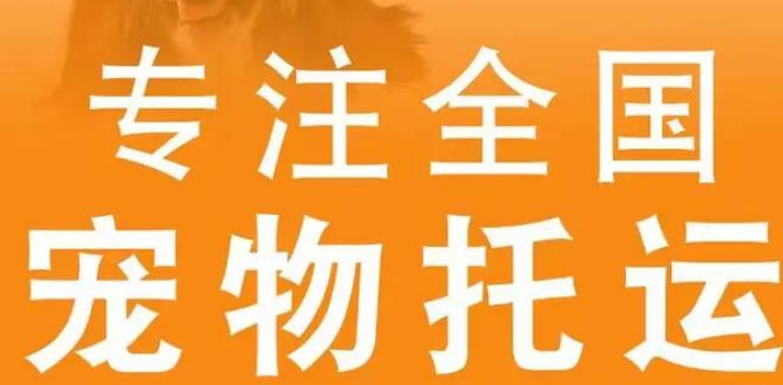 淘宠惠宠物托运，让主人更安心！