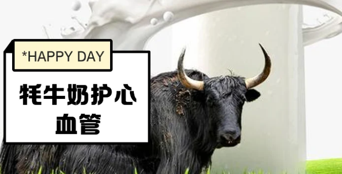 牦牛乳的功效与作用