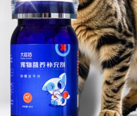 大耳猫抑情冻干片多少钱 大耳猫抑情冻干片多少钱