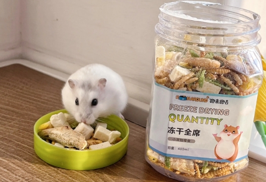 小仓鼠吃什么东西可以磨牙 小仓鼠吃什么东西可以磨牙