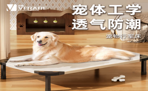 冰顿