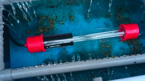 聚宝源鱼缸杀菌灯开多久