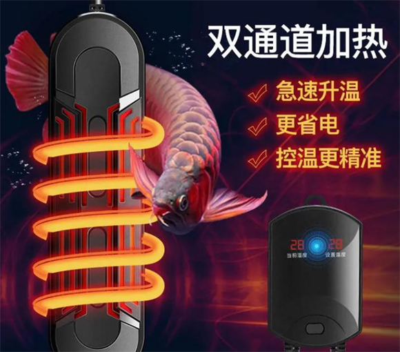 鱼皇子加热棒：打造理想水族温度环境
