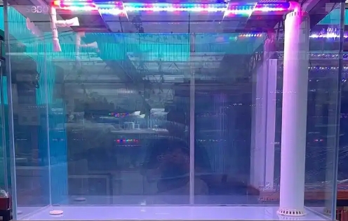 松宝鱼缸怎么调节温度 松宝鱼缸怎么调节温度