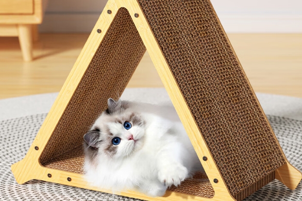 锋上猫抓板有毒吗