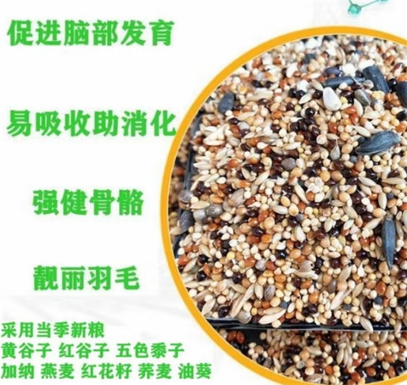 宠以沫鹦鹉粮过期了还能吃吗 宠以沫鹦鹉粮过期了还能吃吗