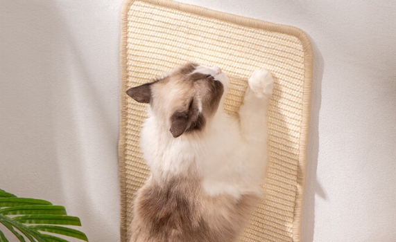 拓宠猫抓板真的有用吗