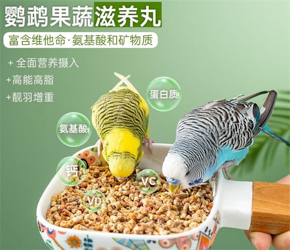 岸舍灰鹦鹉粮好不好