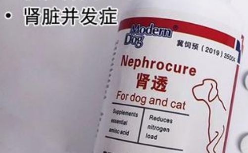 摩登狗肾透片猫咪能吃吗