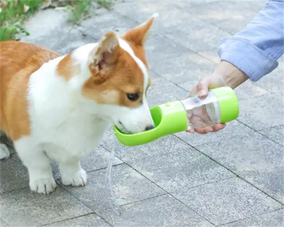 玩尾宠物水杯怎么样