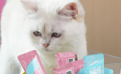 宠领冠猫条安全吗 宠领冠猫条安全吗
