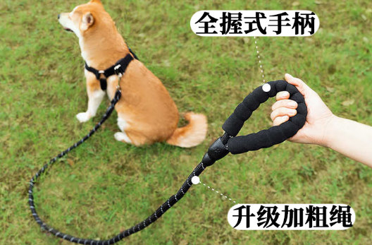 京霁狗狗牵引绳是挂脖子好还是背心式好