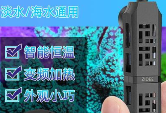 臻的加热棒是杂牌子吗 臻的加热棒是杂牌子吗