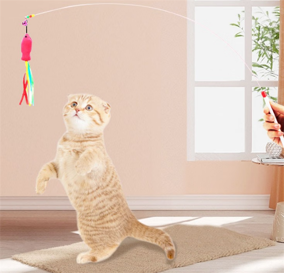 宠六一逗猫棒可以长时间玩吗