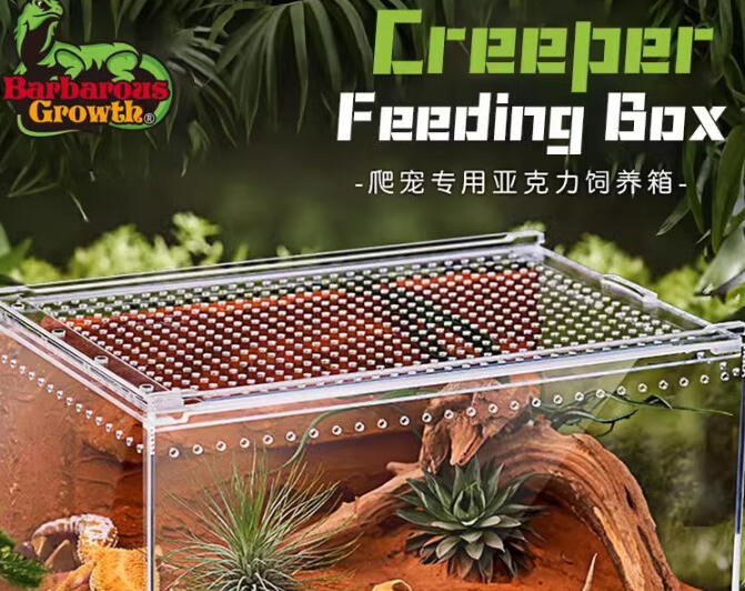 Barbarous Growth亚克力饲养箱了解一下