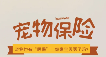 淘宠惠宠物保险，宠物<strong></strong>更宠物一个保障！个保