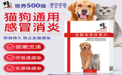 修正宠慕